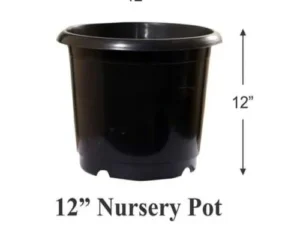 12 inch black pot (5 pots)