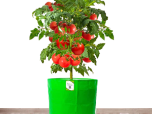 Growbag 12*12