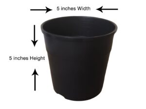 5 inch pot