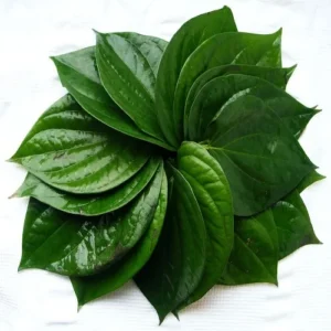 vetrilai (Battel leaf)