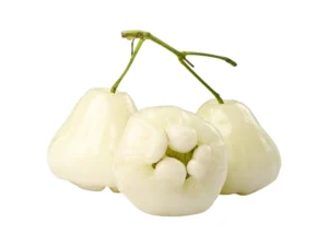 Water apple WHITE