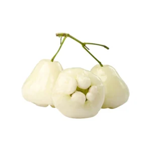 Water apple WHITE