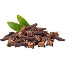 Clove plant