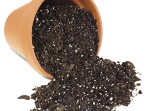 Potting mix 5 kg