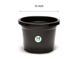 12 inch pot