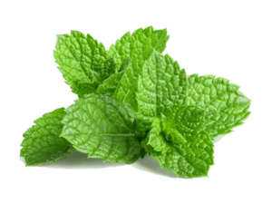 vegetable category