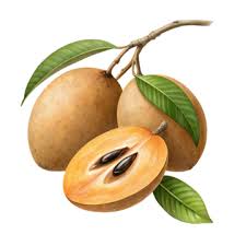 Varigated sapota