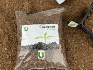 Cocopeat 1 kg Packing