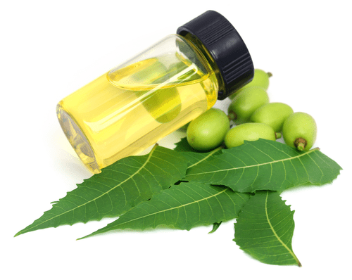 Neem oil 250 ml