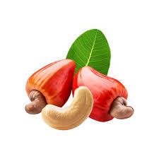 Cashew nut