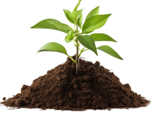Plant Care Products