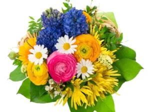 Flowers collection