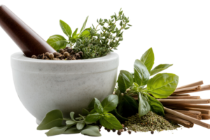 medicinal plants