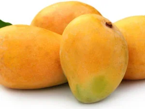 Alphonsa mango