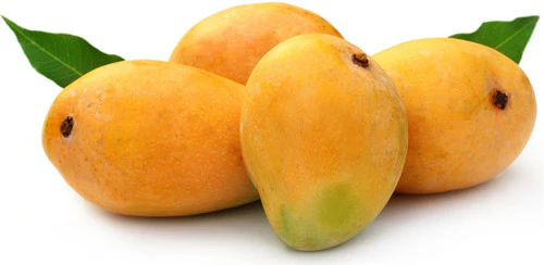 Alphonsa mango