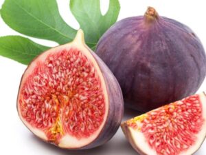 Puna red athi small plant