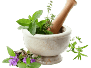 Medicinal Plants