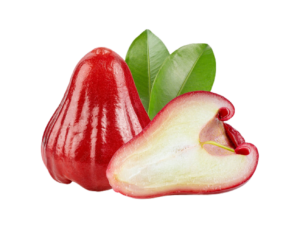 1. Mother Fruit Plants