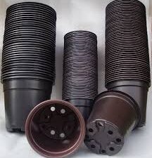 Plastic Pots