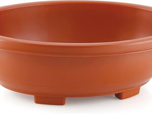 Bonsai 2 pots