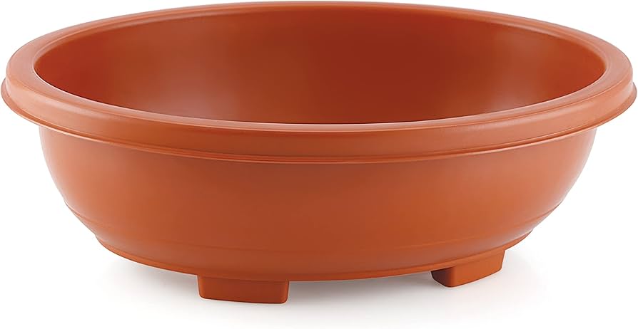 Bonsai 2 pots