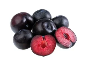 Rain forest plum plant
