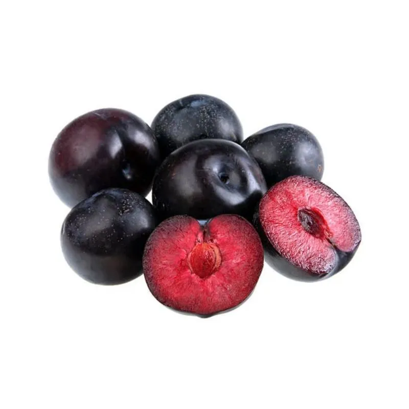 Rain forest plum plant