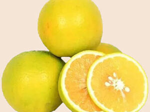 Sweet sathukudi