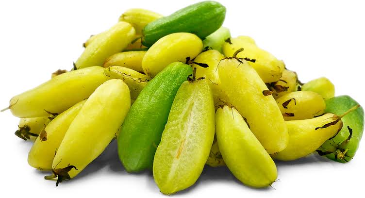 Bilimbi fruit plant / Kerala nalli