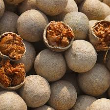 Wood apple fruit plant