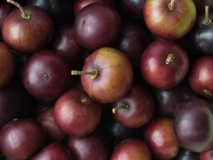 Sweet lovi fruit