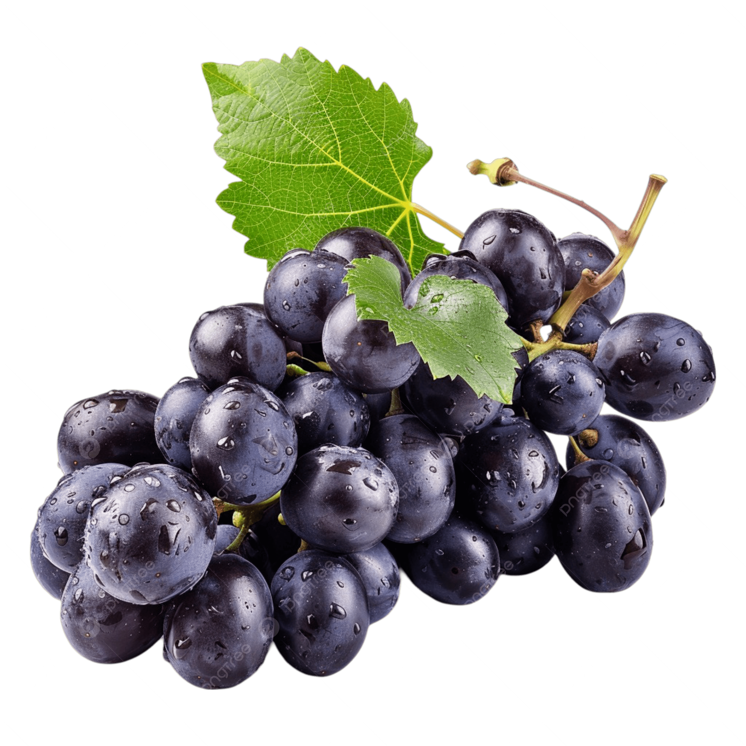 budget-friendly-fruits