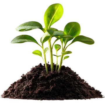Fertilizers