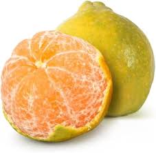 Mother kamala orange plant open parcel best