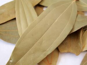 Biriani leaf/bay leaf