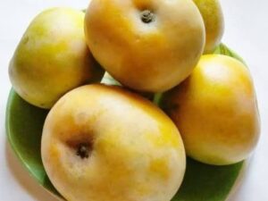 Rumaniya apple