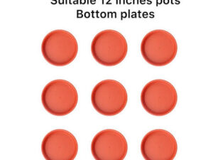 12 inch plate(5 plates)