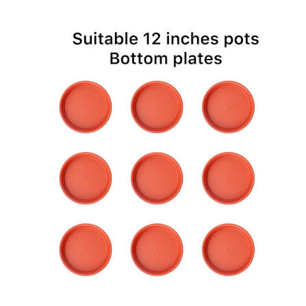 12 inch plate(5 plates)