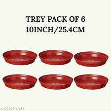 10 inch plate(5 plants)