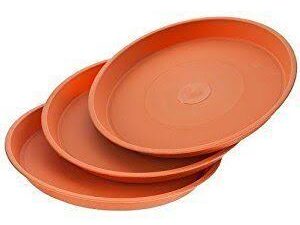 14 inch plate 5 number